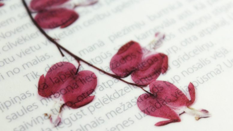 dried flowers with printed text
