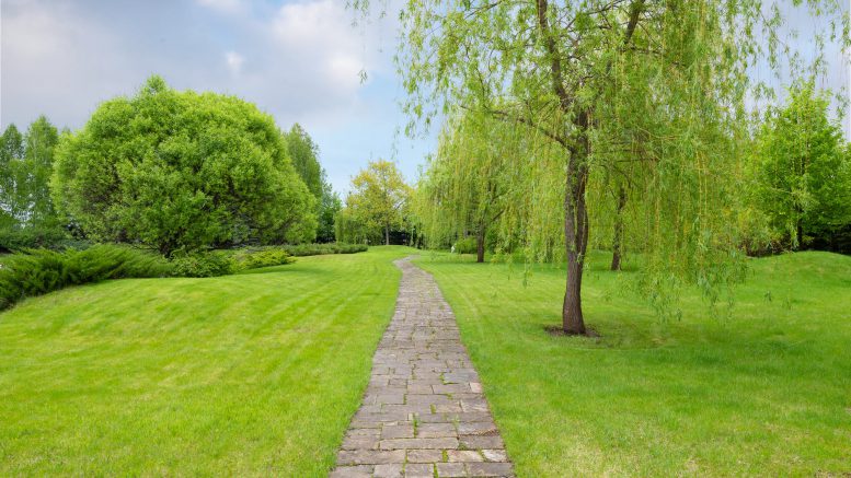 stone path surrounded with green grass and trees