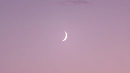 crescent moon on a pink sky